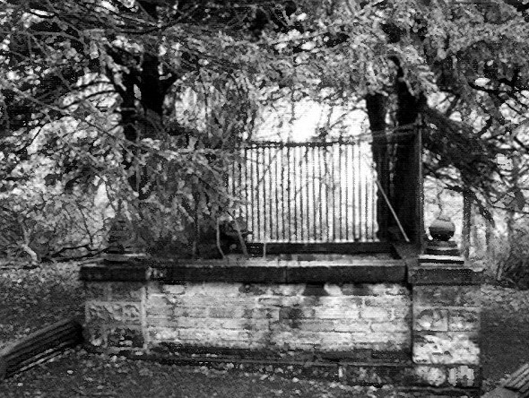 Робин Гуд Робин Гуд