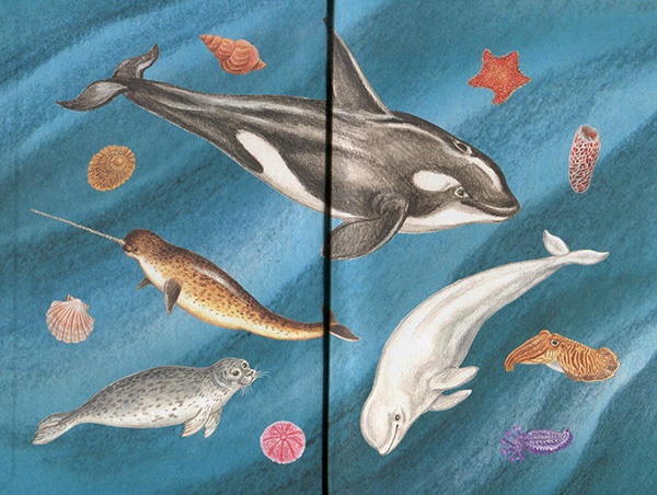 Приключения маленькой трески Приключения маленькой трески