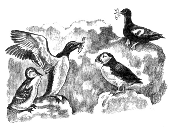 Приключения маленькой трески Приключения маленькой трески