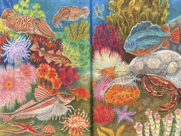 Приключения маленькой трески Приключения маленькой трески