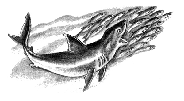 Приключения маленькой трески Приключения маленькой трески