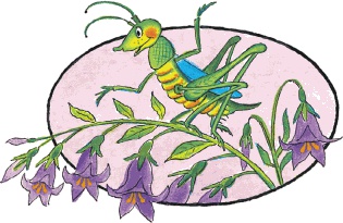 Сказки о животных Сказки о животных