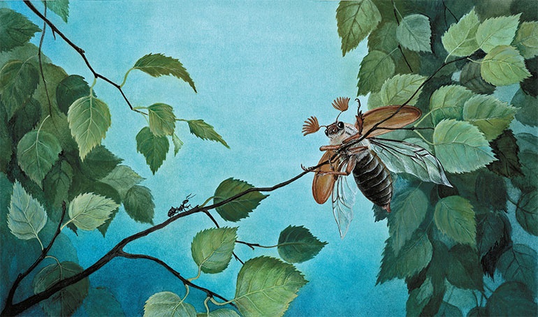 Лесные разведчики