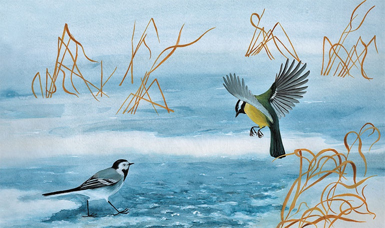 Лесные разведчики Лесные разведчики