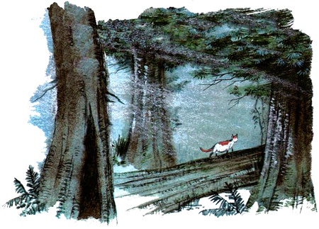 Под крыльцом Под крыльцом