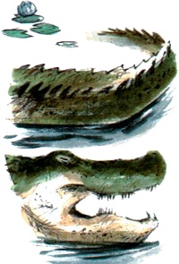 Под крыльцом Под крыльцом