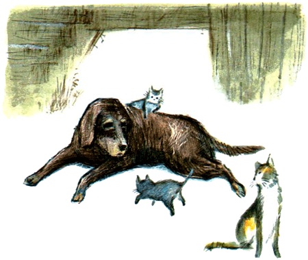 Под крыльцом Под крыльцом