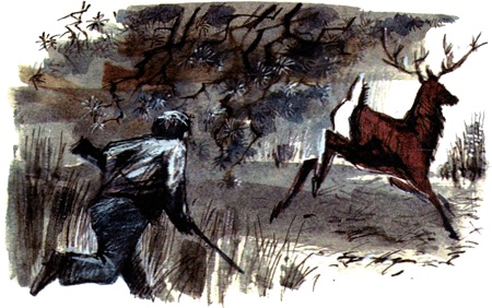 Под крыльцом Под крыльцом