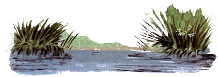 Под крыльцом Под крыльцом