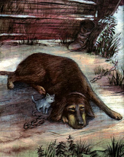 Под крыльцом Под крыльцом