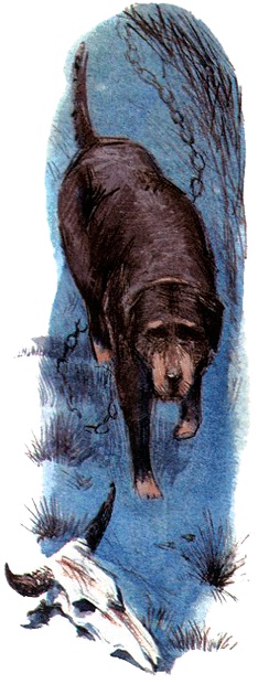 Под крыльцом Под крыльцом