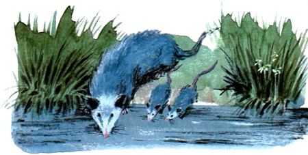 Под крыльцом Под крыльцом