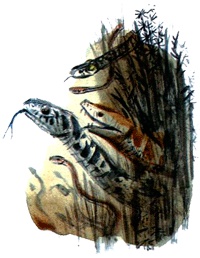 Под крыльцом Под крыльцом