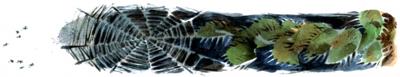 Под крыльцом Под крыльцом