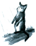 Под крыльцом Под крыльцом