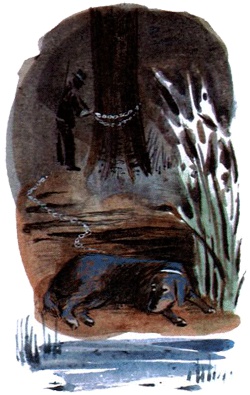 Под крыльцом