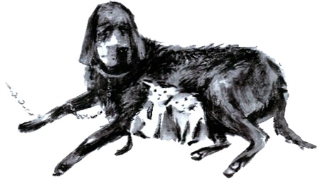 Под крыльцом