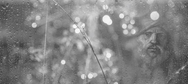 Проза Дождя Проза Дождя