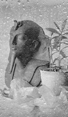 Проза Дождя Проза Дождя