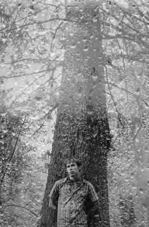 Проза Дождя Проза Дождя