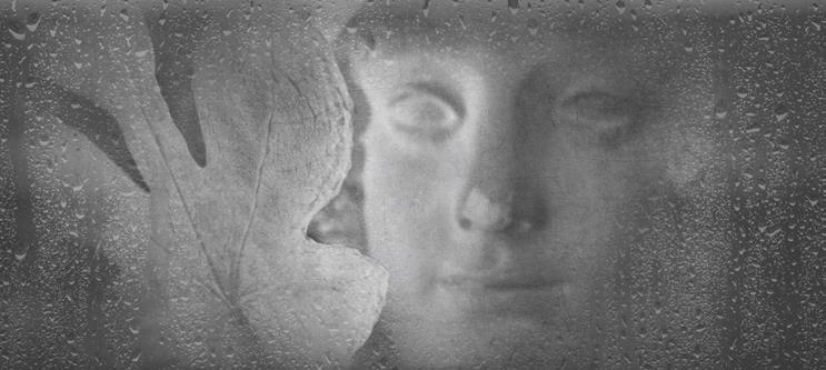 Проза Дождя Проза Дождя