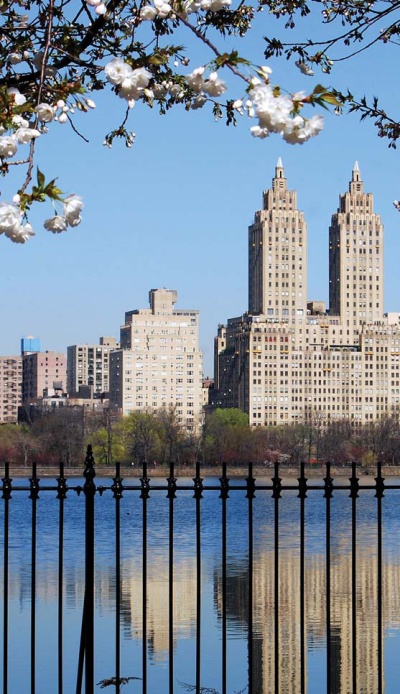 Нью-Йоркский марафон. Записки не по уму Нью-Йоркский марафон. Записки не по уму