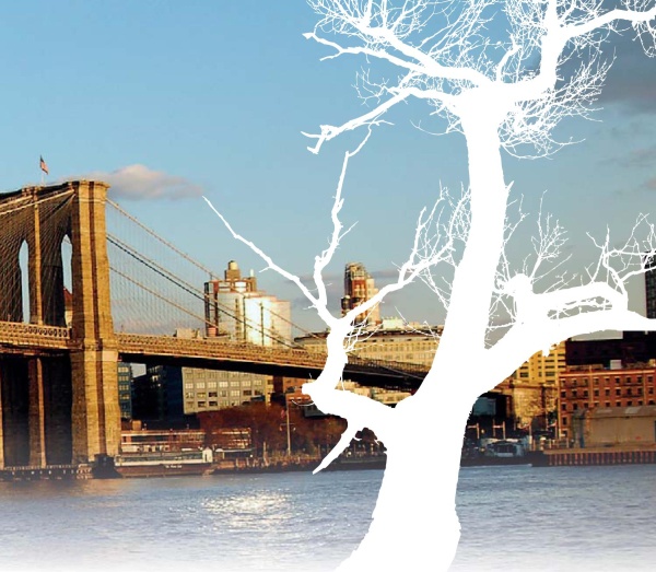 Нью-Йоркский марафон. Записки не по уму Нью-Йоркский марафон. Записки не по уму