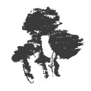 Президент и его министры Президент и его министры