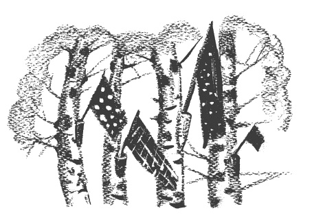 Президент и его министры Президент и его министры