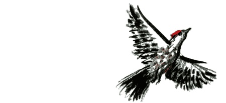 Рябиновое солнце Рябиновое солнце