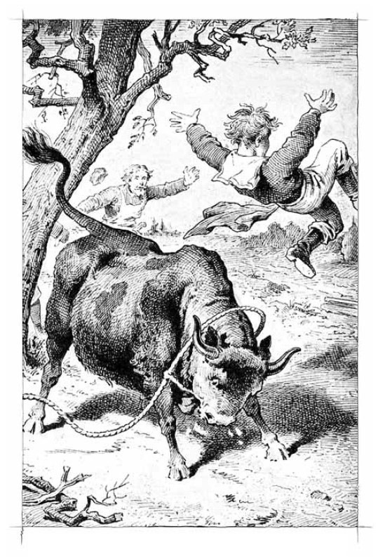 Дом шалунов Дом шалунов