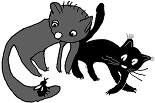 Конец света Конец света