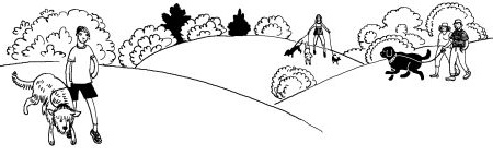 Лили сама по себе Лили сама по себе