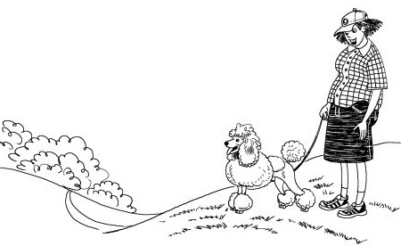 Лили сама по себе Лили сама по себе