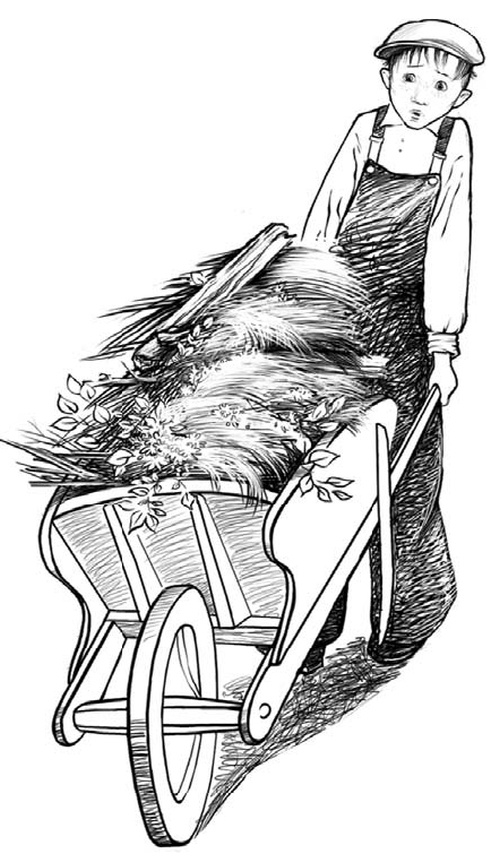 Волчонок Волчонок