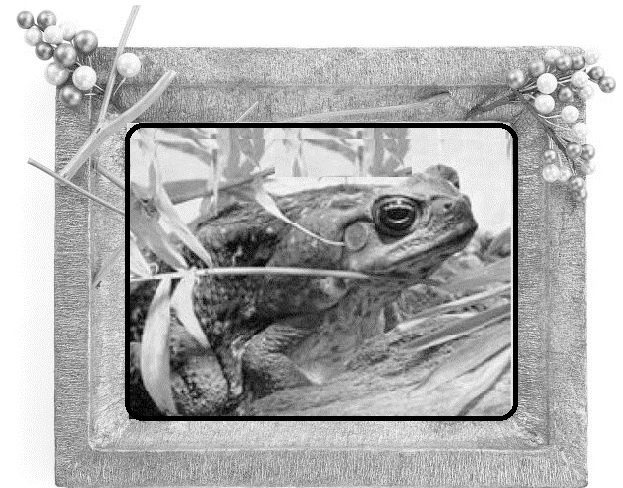 Удивительные путешествия по реке времени. Книга вторая. Неожиданные встречи Удивительные путешествия по реке времени. Книга вторая. Неожиданные встречи