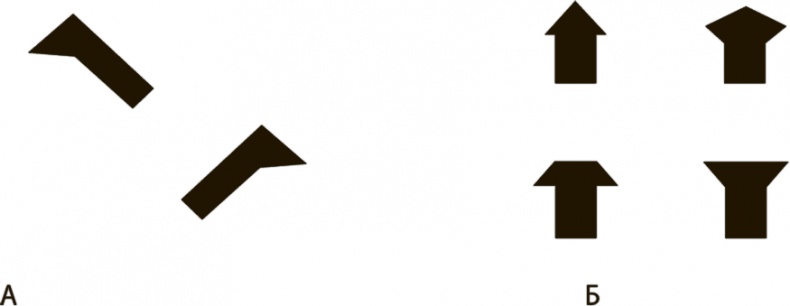 Мозг и тело. Как ощущения влияют на наши чувства и эмоции Мозг и тело. Как ощущения влияют на наши чувства и эмоции