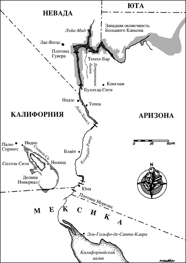 В диких условиях В диких условиях