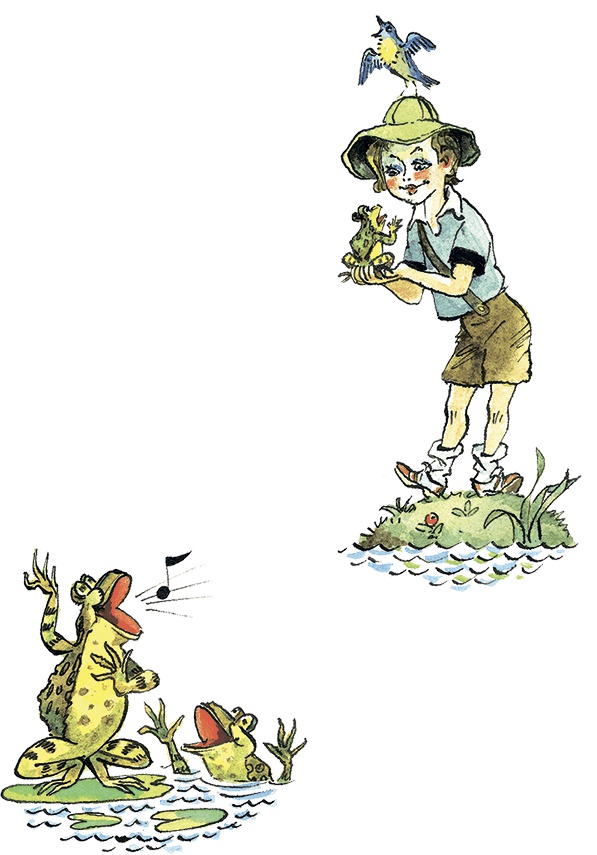 Дом с колокольчиком Дом с колокольчиком