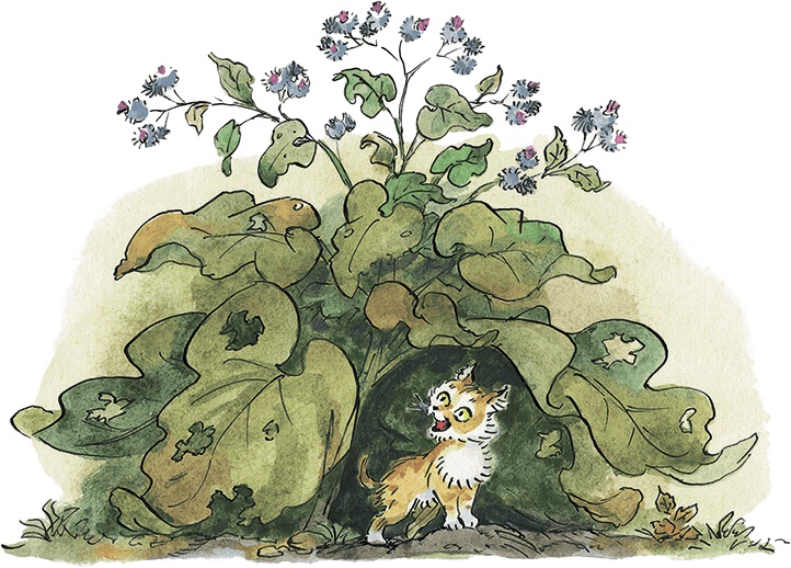 Дом с колокольчиком Дом с колокольчиком