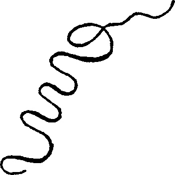 А 259. Всплеск ярости А 259. Всплеск ярости