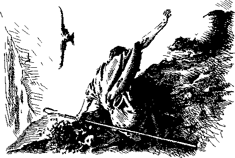 Томек в стране фараонов Томек в стране фараонов