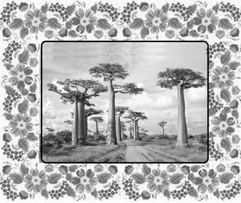 Почемучкины сказки Почемучкины сказки