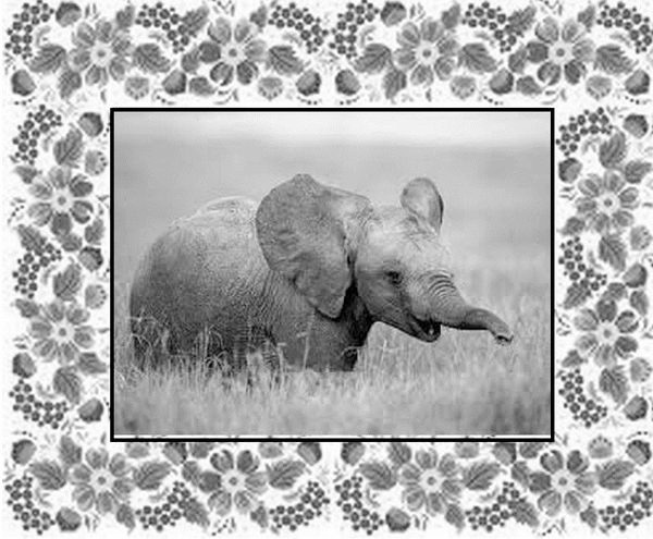 Почемучкины сказки Почемучкины сказки