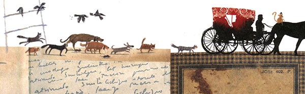 Фердинанд и Пуш Фердинанд и Пуш