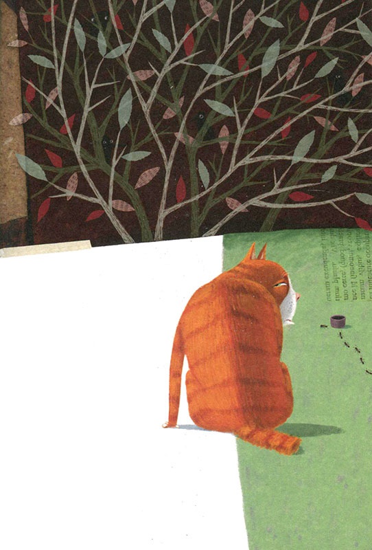 Фердинанд и Пуш Фердинанд и Пуш