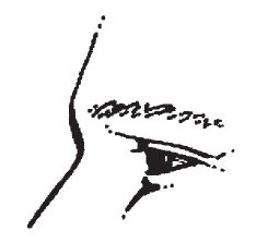 Лицо - зеркало души. Физиогномика для всех Лицо - зеркало души. Физиогномика для всех