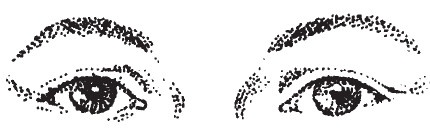 Лицо - зеркало души. Физиогномика для всех Лицо - зеркало души. Физиогномика для всех