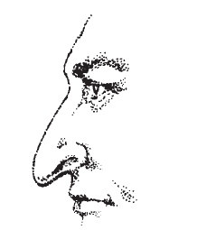 Лицо - зеркало души. Физиогномика для всех Лицо - зеркало души. Физиогномика для всех