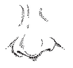 Лицо - зеркало души. Физиогномика для всех Лицо - зеркало души. Физиогномика для всех